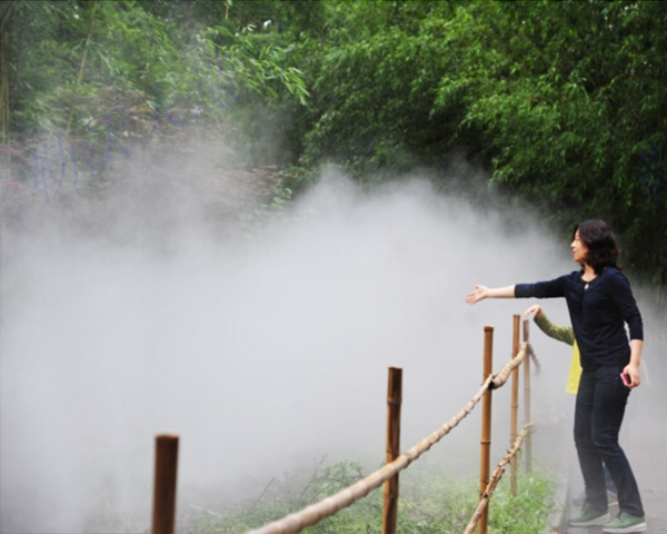 宜春专业园林喷雾造景工程